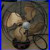 10_1939_Antique_EMERSON_ELECTRIC_2450B_Oscillating_Cast_Iron_Metal_Electric_Fan_01_fw