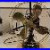 12_Ge_Cat_75423_2_Star_Oscillator_Antique_Electric_Fan_01_sctn