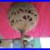 1898_Tuerk_Hunter_Fan_Motor_Co_antique_electric_ceiling_fan_ornate_motor_case_01_nyk