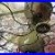 1916_16_Inch_Star_Rite_Vintage_Electric_Fan_01_oknb