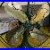 1923_16_Ge_Aou_Loop_Handle_Fan_Restoration_Part_4_Wiring_And_Reassembly_01_jy