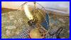 1924_Ge_Whiz_Vintage_Electric_Fan_01_eqbs