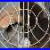 1930s_Wagner_Electric_10_Oscillating_Antique_Fan_Model_L342a990_01_woj