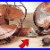 1950s_Unique_Bullet_Nose_Table_Fan_Restoration_75_Years_Old_Broken_Electric_Fan_01_tq