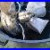 1985_Litex_Antique_Brass_Ceiling_Fan_With_Stencil_Blades_Model_Eld54ab_4_01_qtc