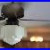 2026_Antique_Ceiling_Fan_Showcase_01_kan