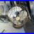 Antique_Early_1900_s_Ge_Oscillating_Table_Top_Fan_01_lal