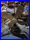 Antique_Electric_1901_12_GE_Desk_Fan_Brass_Cage_Blade_01_xcji
