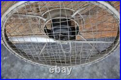 Antique Electric Mountable Industrial Caged 2 Blade Aircraft Propeller Fan motor Antique Electric Mountable Industrial Caged 2 Blade Aircraft Propeller Fan motor