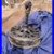 Antique_Emerson_45641_Long_Nose_Ceiling_Fan_for_parts_or_restoration_01_lgdy