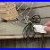 Antique_Fans_At_An_Antique_Store_01_xpna
