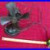 Antique_POLAR_CUB_Rare_Miniature_Table_Fan_3_Black_Blades_6_5_Cage_works_01_pl