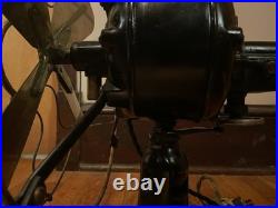 Antique Robbins And Myers 12 Brass Blade Table Fan Model 11530 Restored