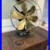 Antique_Robbins_Myers_Co_Brass_6_Blade_Brass_Cage_13_3_Speed_Fan_Runs_Great_01_cnim