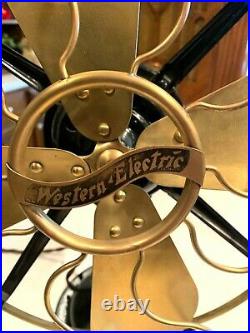 Antique Western Electric Brass 12 fan Grade 10 condition