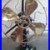 Antique_vintage_marelli_electric_fan_Model_AUSTRO_1928_Italy_Working_01_da