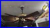 Emerson_Fernleaf_Antique_Ceiling_Fan_01_gst