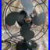 Emerson_Jr_Non_Oscillating_10_Fan_Works_01_jebv
