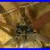 Fan_Test_Throwbacks_W_Dan_Hunter_Original_Ceiling_Fan_01_lxtg