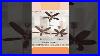 Polycab_Superia_Sp03_Designer_Ceiling_Fan_Unboxing_U0026_Review_800mm_With_Led_Light_U0026_Remote_Co_01_auv