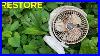 Severely_Damaged_Mini_Fan_Restored_By_Replacing_The_Motor_And_Power_Supply_01_xbe