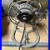 Signal_Eletric_Fan_And_Stand_01_qspa