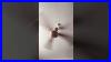 The_Antique_Beauty_Meets_Modern_Efficiency_Bldc_Mod_Inside_Ceilingfan_Fyp_Viral_Shorts_Funny_01_oo