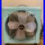 VTG_1950s_Eskimo_Box_Fan_2012A_Turquoise_15_3_Speed_Retro_WORKS_GREAT_01_ozs
