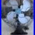 Vintage_Emerson_Electric_4_Blade_Fan_1_Speed_Fixed_Or_Oscillating_Works_01_nhpi