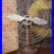 Vintage_Industrial_Fan_General_Electric_Motor_Airplane_Propeller_20_Blades_01_xi