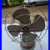 Vintage_Westinghouse_Table_Fan_10_La_4_Fan_10_Working_01_my